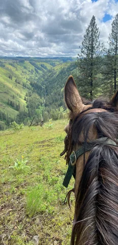 Horseback riding
